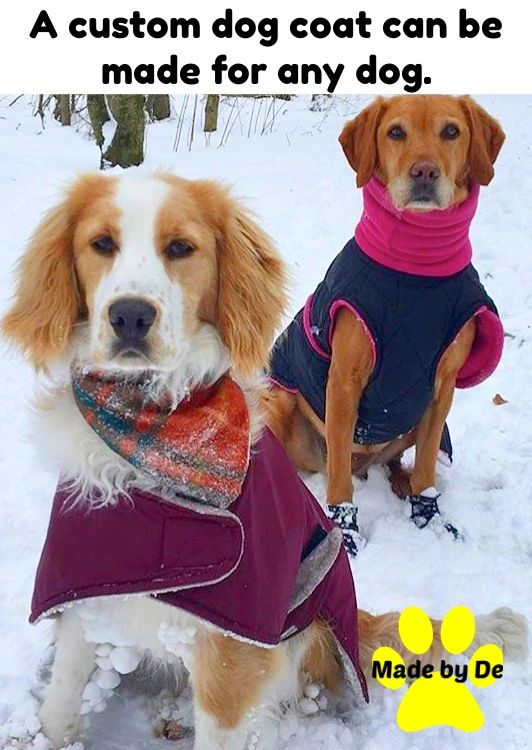 Personalized dog coat hot sale